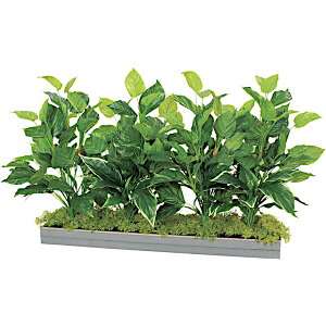 �x���N �O���[�����[�h �A�����W�O���[�� ���C�h�O���[�� GR9019 �{��:5.5mm�x�j���V�[�g�\��E�n�b�|�[ ����:���� �t���i:�Œ�p�r�X W×H×D�F1100×650×500mm 2.3kg