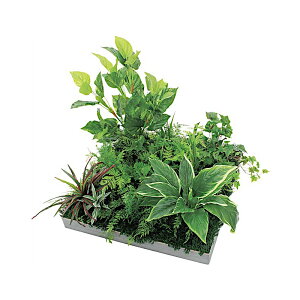 �x���N �O���[�����[�h �A�����W�O���[�� �A�ڃX�N�G�A�O���[�� 60�p GR9038 �{��:5.5mm�x�j���V�[�g�\��E�n�b�|�[ ����:���� �t���i:�Œ�p�r�X W×H×D�F800×650×800mm 3.4kg