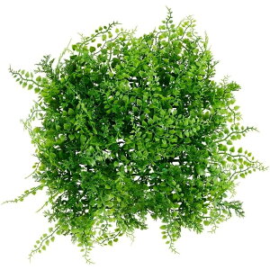 ACXI[} DECO GREEN EH[pl WG-50AEWG-50M