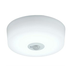 ACXI[} ^V[OCg  lZT[t SCL6L-MS-H SCL6D-MS-H dF F 600lm