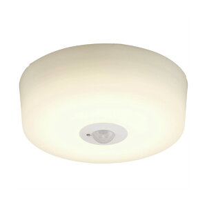 ACXI[} ^V[OCg  lZT[t SCL12L-MS-H SCL12D-MS-H dF F 1200lm