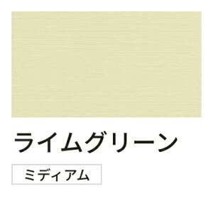 ���[�X�t���o�[�`�J���u���C���h�y�f���A���c�C���z TOSO �g�[�\�[ 10�F �g���A�X�v���[���ՔM �h�����H �􂦂鐶�n �I�[�_�[���C�h 1cm�P�� ��1210~1600mm ����2210�`2600mm [���[�J�[�����i/����E