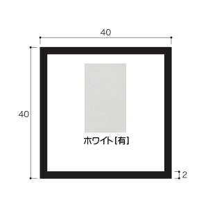 c A~ӊppCv 2.0×40×40mm L=4000mm Vo[ uY XeJ[ zCg AC{[