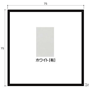 c A~ӊppCv 2.0×75×75mm L=4000mm Vo[ XeJ[ zCg AC{[