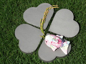 p n[g ^ DG w̕xt@K Jg[K[fɕϐg K[fjO GNXeA  kawara @@@ yRCPzyHLS_DUz