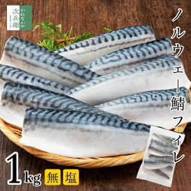 無添加 天然 無塩 ノルウェー 鯖 さば 切り身 1kg 約8枚入 魚 フィレ 冷凍 骨取り 骨なし 塩なし 1枚約120g食べ応えあり 2個購入500円 3個購入900円 4個購入1,400円OFF まとめ買いクーポン付 骨抜き 加熱用【C配送：冷凍】