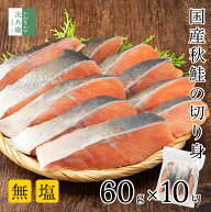 【お得なクーポン付4/10(金)1:59まで】無添加 国産 天然 無塩 秋鮭 切り身 60g×10切(600g)【国内加工】…