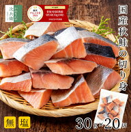 【お得なクーポン付4/10(金)1:59まで】 無添加 国産 天然 無塩 鮭 切り身 30g×20切【国内加工】魚 骨取…