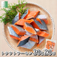 《こだわりのお刺身鮮度！》 保存料不使用 無塩 お刺身 トラウト サーモン 切り身 30g×20切 チリ産 鮭 …
