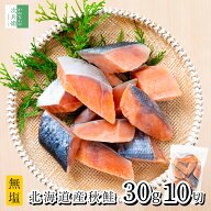 【スーパーSALE限定50％OFF】(送料別) 無添加 国産 天然 無塩 鮭 切り身 30g×10切【国内加工】魚 骨取り…