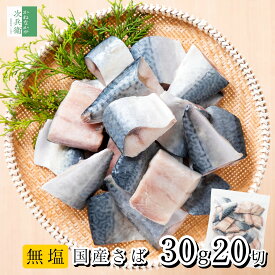 《レビュー4,000件突破！》 無添加 国産 天然 無塩 さば 鯖 切り身 30g×20切 魚 骨取り 骨なし 冷凍 解凍せずにそのまま使える 2個購入400円 3個購入750円 4個購入1,200円OFF まとめ買いクーポン付 お弁当サイズ 塩なし 魚切り身 骨抜き【C配送：冷凍】