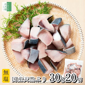《食べやすい！ひと口天然ぶり》 無添加 国産 天然 無塩 鰤 ぶり 切り身 30g×20切【国内加工】魚 骨取り 骨なし 冷凍 解凍せずにそのまま使える 2個購入400円 3個購入750円 4個購入1,200円OFF まとめ買いクーポン付 骨抜き 魚切り身 お弁当 弁当 【C配送：冷凍】