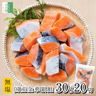 《貴重な国産銀鮭》 保存料不使用 国産 無塩 銀鮭 切り身 30g×20切 金華銀鮭 骨取り 冷凍 鮭 さけ 養殖 …