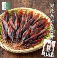 無添加 富山県 国産 ほたるいか 素干し 40g×1袋 海鮮 おつまみ 富山 富山産 富山湾 ワタたっぷり 肉厚で…