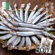 ＼冷凍庫ストックに／ 訳あり 子持ち ししゃも 500g(約30尾入り) カラフトシシャモ 2個購入400円 3個購入…