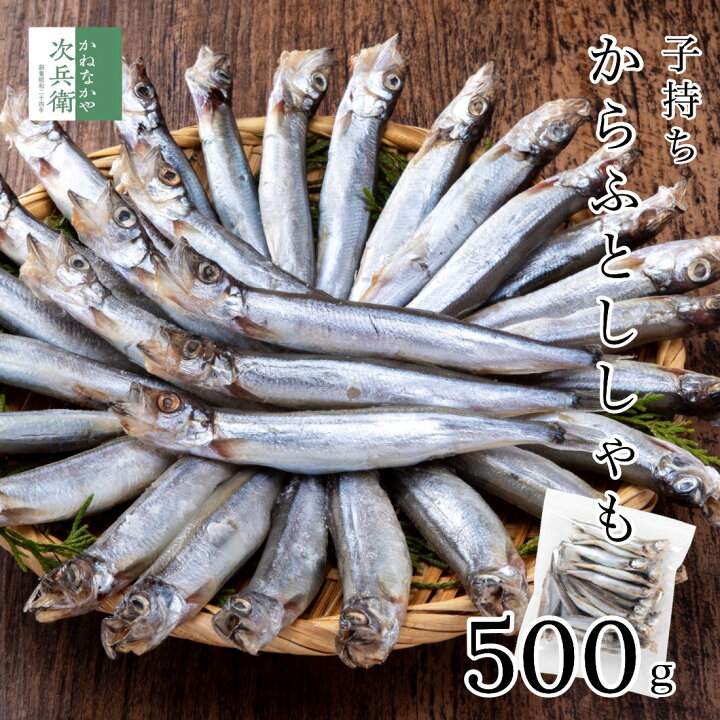 楽天市場】訳あり 子持ち ししゃも 500g(約30尾入り) カラフトシシャモ 