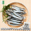 6/5新発売！《送料別》 無添加 子持ち ししゃも 一夜干し 300g(約25-30尾入り) カラフトシシャモ 化学調味料不使用 【…