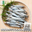 《手軽にお魚生活》 無添加 子持ち ししゃも 一夜干し 500g(約40-50尾入り) カラフトシシャモ 化学調味料不使用 2個購…