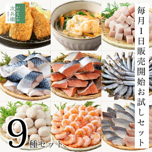 ygςIzXC   9Zbg 99Zbg CN g  ؂g  FXȏiłZbgقIql̐i  