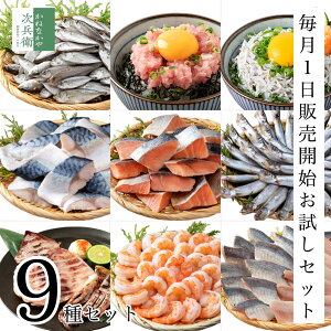 ygςIzXC   9Zbg 99Zbg CN g  ؂g  FXȏiłZbgقIql̐i  