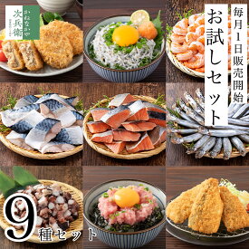 【数量限定】かねなかや お試し 福袋 9種セット 店長おまかせ 毎月199セット限定 海鮮 揚げ物 魚 切り身 骨取り 色々な商品を少しずつお試しできるセットがほしい！お客様の声を商品化 小分け セットでお届け【C配送：冷凍】