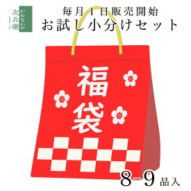 【6月1日販売再開】50セット限定 お試し 福袋 8-9品セット 店長おまかせ 海鮮 食品 当店売れ筋商品をメインにお試し小分けセットでお届け【6月セット内容: 秋鮭 さば エビフライ ししゃも 甘塩ノルウェー鯖 ネギトロ むきえび カットイカ いわしフライ】【C配送：冷凍】