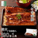 お中元 ギフト 浜名湖 国産 うなぎ 特大サイズ 約190g×1尾【ギフト対応可】2個購入500円 3個購入900円 4個購入1,400円OFF まとめ買いクーポン付 お歳暮 お中元 無頭 冷凍 鰻 蒲焼 国産うなぎ 真空パック 1-2人前 プレゼント 土用 丑の日【C配送：冷凍】