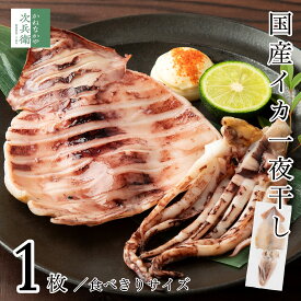 《送料別》 無添加 国産 天然 イカ 一夜干し 1枚(約80g-120g) 冷凍 スルメイカ 烏賊【送料無料商品(冷凍商品に限る)とのまとめ買いで送料無料】ついで買いにおすすめ イカの旨みをぎゅっと凝縮 干物 一夜干しイカ スルメ【C配送：冷凍】