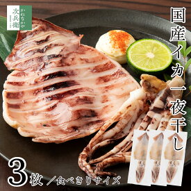 【マラソン限定300円OFF】無添加 国産 天然 イカ 一夜干し 3枚セット(約80g-120g×3枚入) 冷凍 スルメイカ 烏賊 2個購入500円 3個購入900円 4個購入1,400円OFF まとめ買いクーポン付 うす塩仕立て 軽く炙ってお召し上がりください【C配送：冷凍】