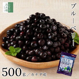 無添加 カナダ産 冷凍 ブルーベリー 500g 中粒 Lサイズ 2個購入400円 3個購入750円 4個購入1,200円OFF まとめ買いクーポン付 取り出しやすいチャック袋入り 程よい甘味と酸味 冷凍ストック ブルークロップ種 デューク種【C配送：冷凍】