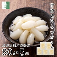 無添加 国産 甘酢漬 らっきょう 80g×5袋 鳥取 中粒 無選別 化学調味料無添加のこだわり製法 お試し らっ…