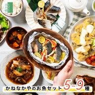 ＼新発売！お試し500円OFFクーポン付／かねなかや次兵衛 お魚 お試しセット 切身 5種 7種 9種 冷凍 切り…