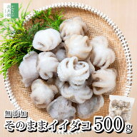 《6/6新発売！お試し500円OFFクーポン付！》 無添加 天然 イイダコ 500g(約15個入) 冷凍 タコ 蛸 飯蛸 無…