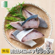 6/16新発売！《送料別》 無添加 国産 天然 無塩 鰤 ぶり 切り身 60g×5切【国内加工】魚 骨取り 骨なし …