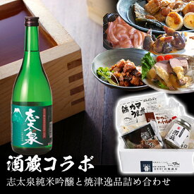 志太泉 純米吟醸 と 焼津 逸品 詰め合わせ 【 送料無料 酒蔵コラボ 】〜 焼津 カネオト 厳選 〜 贈答品 ギフト 父の日 に最適 喜ばれる お中元 お歳暮 お酒 と つまみ