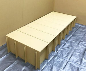 gĊȒP ڒ܁EKe[vsv RpNg ً}ЊQ p _{[xbh