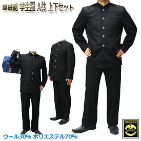 楽天市場 学ラン 夏用の通販