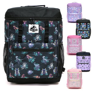 gNGCg/TI LN^[ XNGA bNTbN L LbY/q//jq/q bNTbN ubN/p[v/sN W36cm×H26cm×D14cm/13L