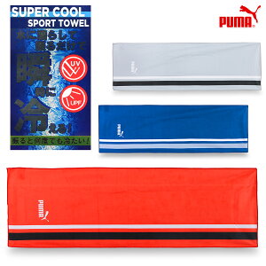 ⊴^I UVJbg v[} X[p[ N[ X|[c^I X|[c/W[/AEghA u[/bh/O[ W100cm×H31cm AC0161