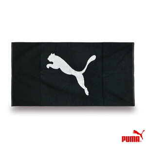 v[} TEAM ^I L X|[c/W[/W oX^I ubN W140cm×H70cm 054552
