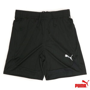 v[} TEAMFINAL g[jO V[c Y n[tpc ubN M/L/XL 659360