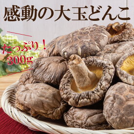 九州産訳あり大玉どんこ椎茸300g【6～8cm 干し椎茸 九州産 国産 大玉 どんこ 干ししいたけ シイタケ 乾し グアニル酸 ビタミンD 低カロリー 食物繊維 無農薬 お節料理 ご家庭用 欠け割れ 変色 擦れ】