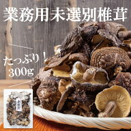 国産未選別椎茸300g【業務用 シイタケ しいたけ 乾し椎茸 グアニル酸 ビタミンD 低カロリー 食物繊維 無…