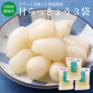 甘らっきょう3個セット【国産 宮崎県産 いつものらっきょう カリカリ シャキシャキ 漬物 漬け おつまみ …