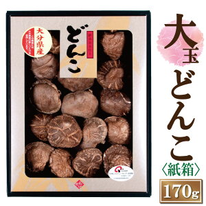 啪Yʂǂ񂱒őij170gy6-8cm JSH-50 ő Mtg  Ε TԂ hV̓ Y 啪Y   ǂ _ ؍͔|zy͑ʓr500~/