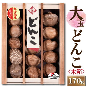 啪Yʂǂ񂱒őqؔr170gy6-8cm MDK-50 ő Mtg  Ε TԂ hV̓ Y 啪Y   ǂ _ ؍͔|zy͑ʓr500~/
