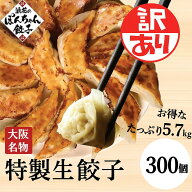 楽天スーパーセール【半額】12200円→6100円 **訳アリ品**【送料無料】累計2500万個完売！餃子300個 5.7k…