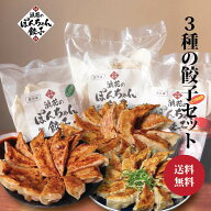 ☆お買い物マラソン☆ 期間限定！3580円→2980円 餃子 100個 タレ付き お歳暮◆国産◆3種類の餃子セット …