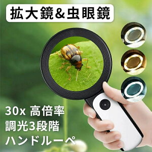 yX[p[SALEԁIōő100PҌI(vGg[)z30{ { g勾 LEDCgt 30{ ዾ [y { ₷ g僌Y 3iK [y 莝[y 12LEDCgt 