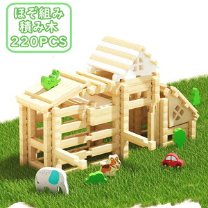 P20 ςݖ قg ؐ ubN ݖ ؂̂ mߋ gݗĂ z eb\[ eb\[   pY i` gݗ w q j